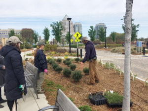 Volunteers planting flower beds