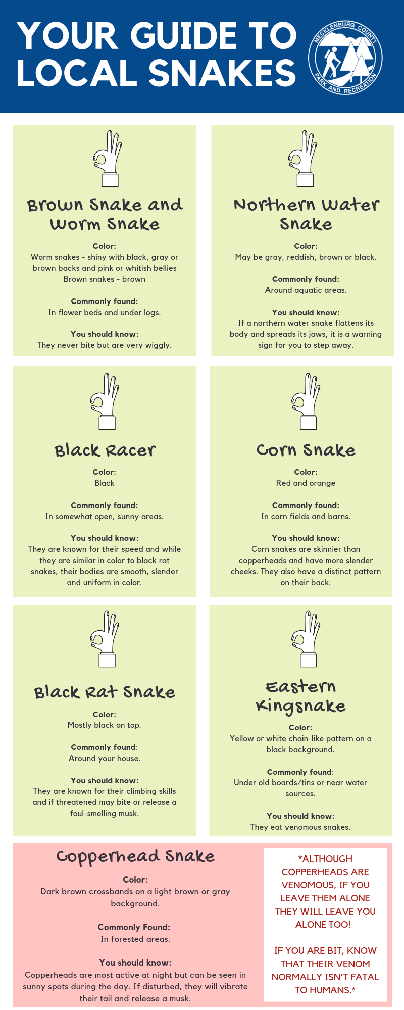 An infographic simplifying the details of this blog about snake types you may see around Mecklenburg County.