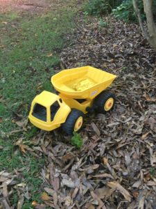 Toy truck in the backyard - a common breeding ground for mosquitoes!