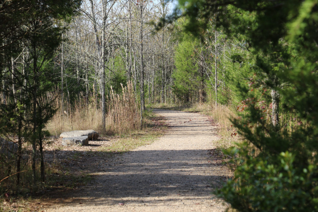 A path going through a nature preserve in the middle of winter.