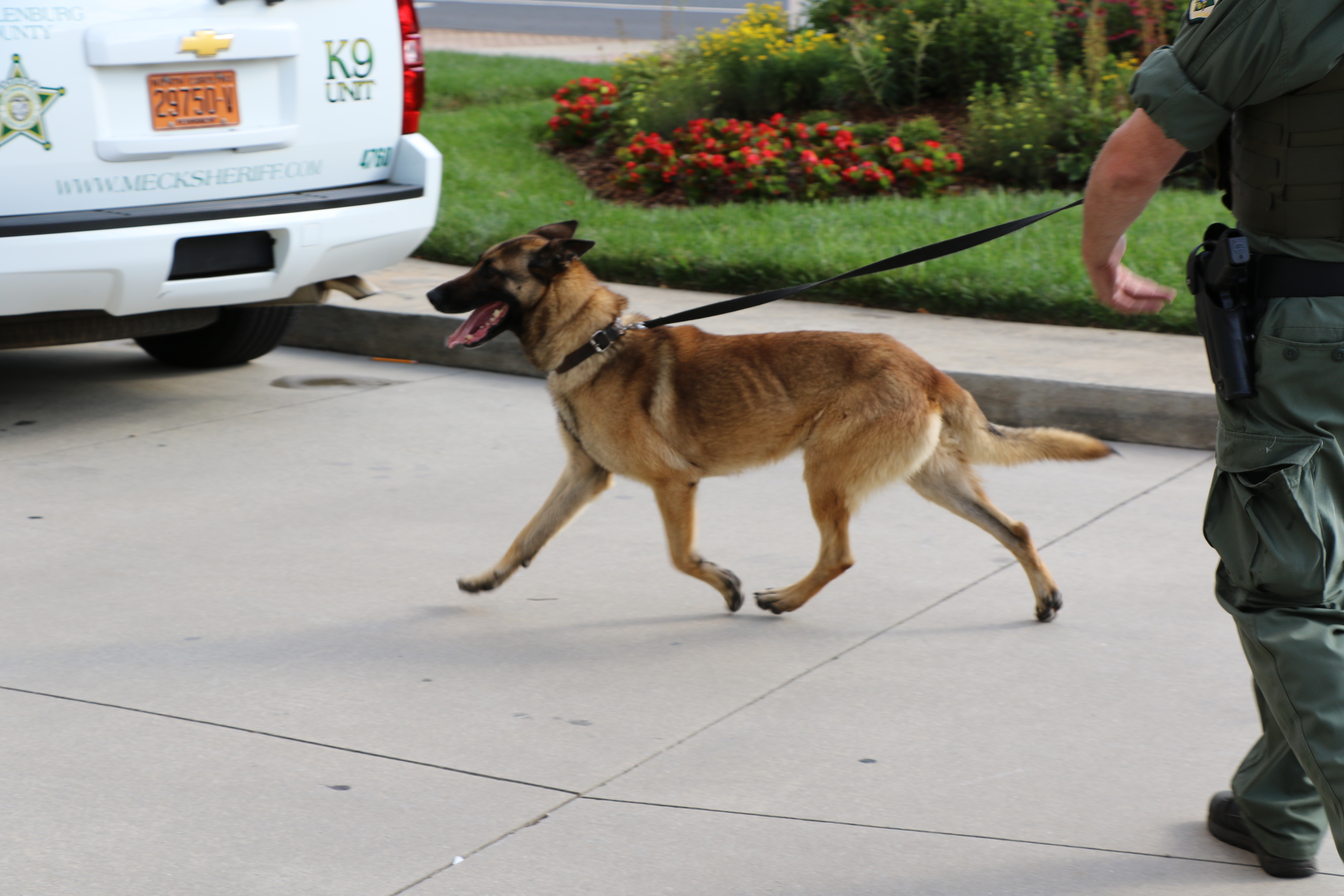 Keeping Our Community Safe, One Sniff At a Time - Mecklenburg County Blog