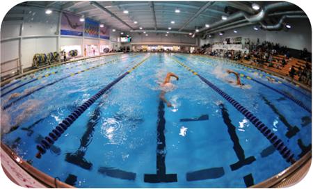 Go swimming at the Mecklenburg County Aquatic Center; shot of people swimming in roped off lanes