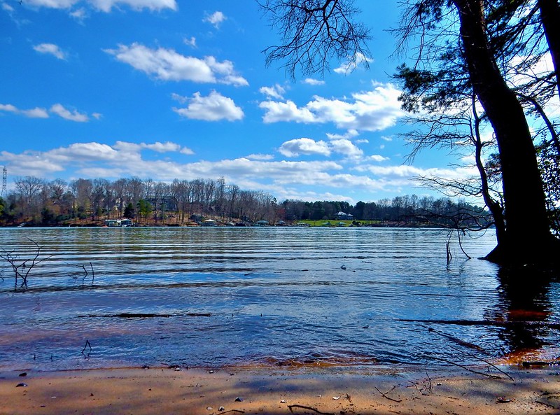 A view at Latta Nature Preserve with water, trees and clouds