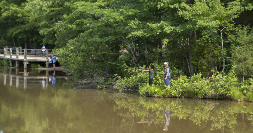 People fishing at Reedy Creek.