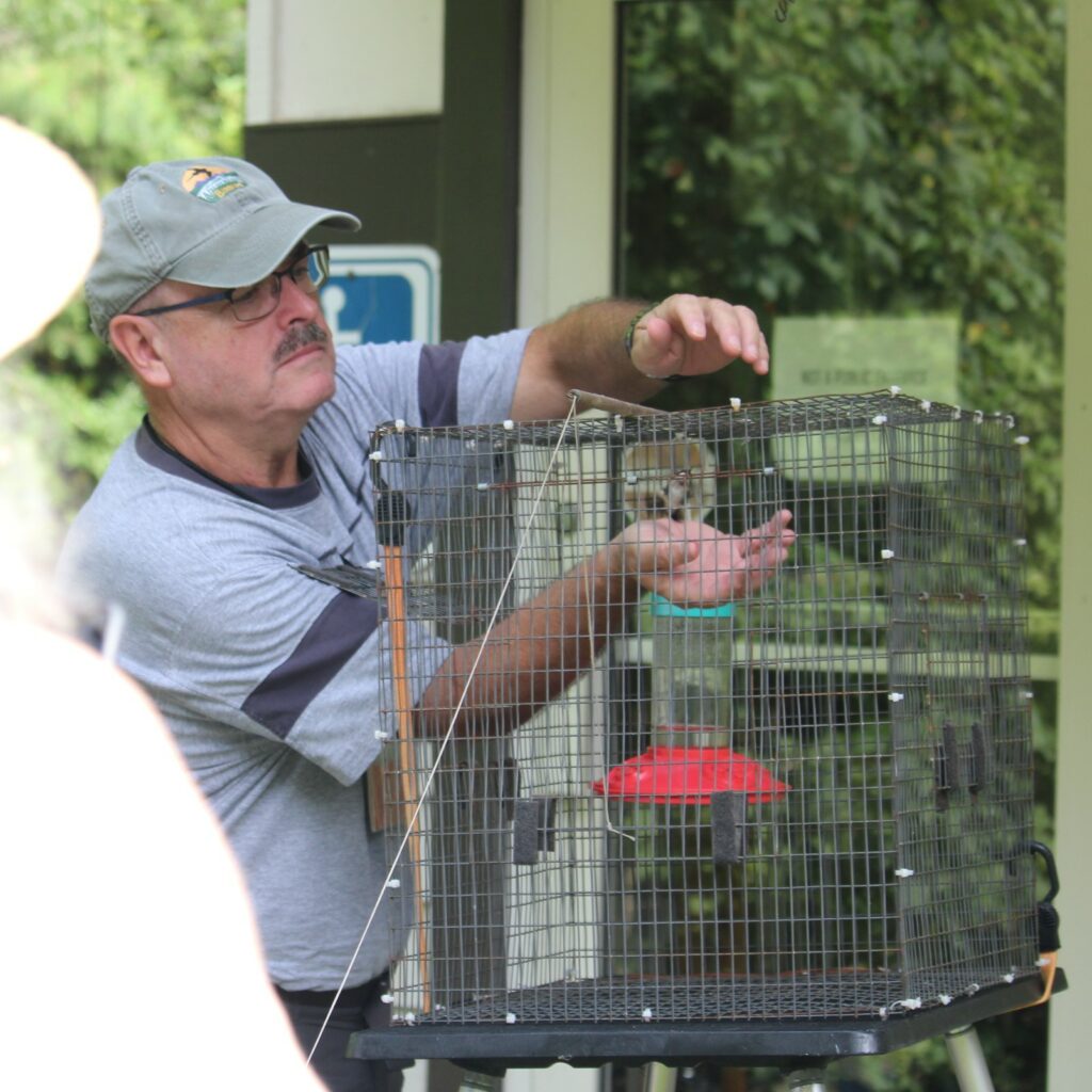 A volunteer adds a cage to a hummingbird feeder prior to a Hummingbird Week banding class.