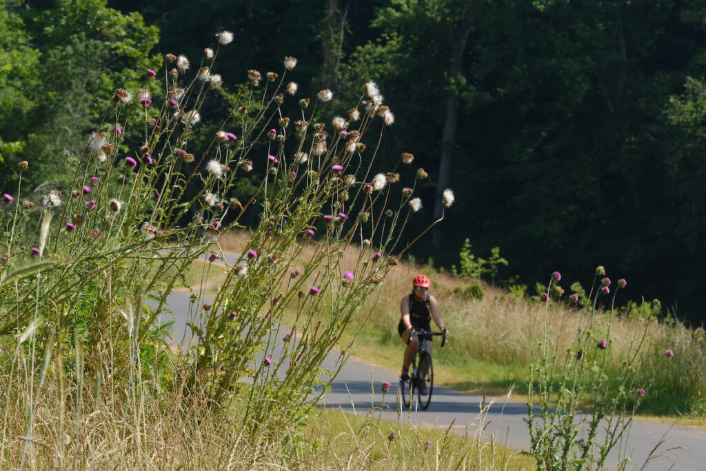 woman riding bike on a greenway trail