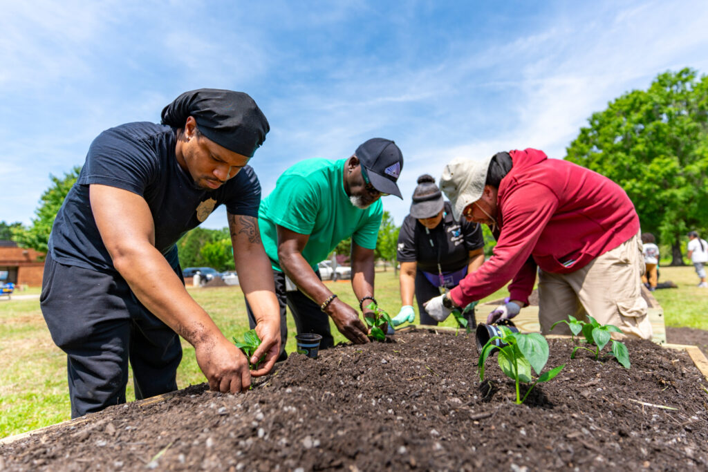 People planting in a raised garden bed outside