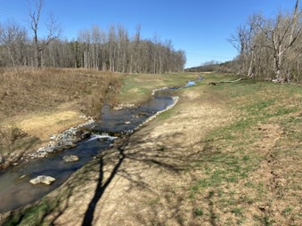 A restored stream. The water flows peacefully and there is grassy land on either side of it.  